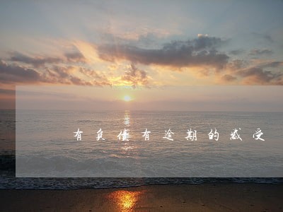有负债有逾期的感受 有负债有逾期的感受