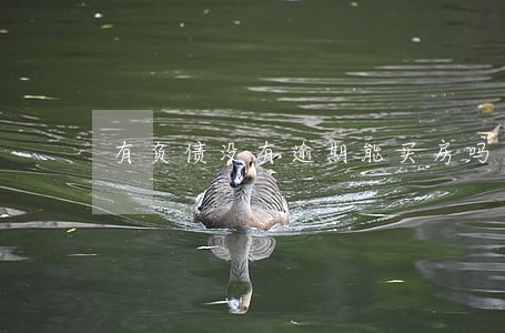 有负债没有逾期能买房吗