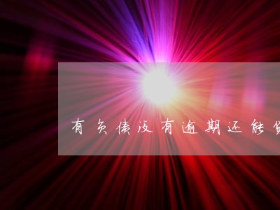 有负债没有逾期还能贷款吗 有负债没有逾期还能贷款吗