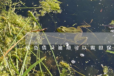 有负债没逾期可以做担保人吗 有负债没逾期可以做担保人吗