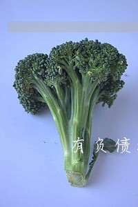 有负债没逾期可以房贷吗 有负债没逾期可以房贷吗