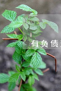 有负债没逾期商贷买房
