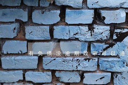 有负债没逾期政审可以通过吗 有负债没逾期政审可以通过吗