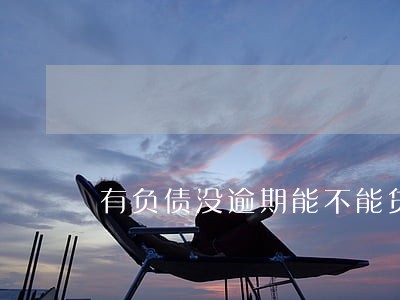 有负债没逾期能不能贷款