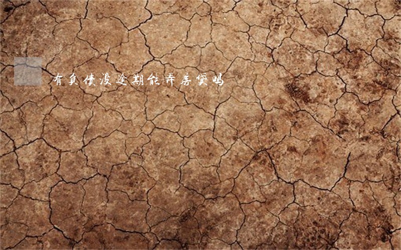 有负债没逾期能弄房贷吗
