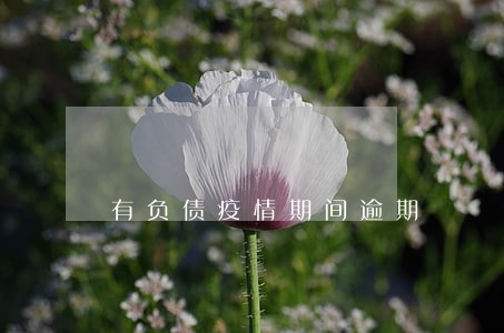 有负债疫情期间逾期 有负债疫情期间逾期