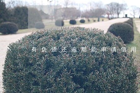 有负债还逾期能申请信用卡吗 有负债还逾期能申请信用卡吗