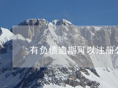有负债逾期可以注册公司吗 有负债逾期可以注册公司吗