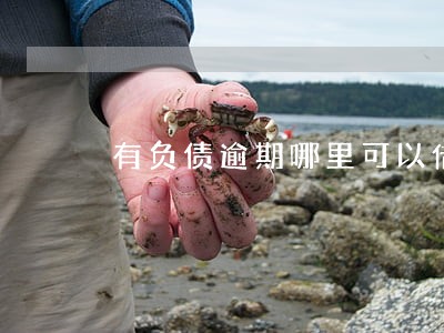 有负债逾期哪里可以借 有负债逾期哪里可以借