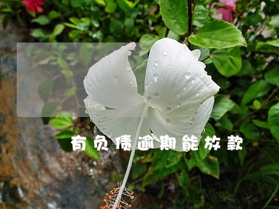有负债逾期能放款 有负债逾期能放款