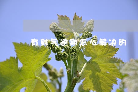 有财气逾期怎么解决的 有财气逾期怎么解决的
