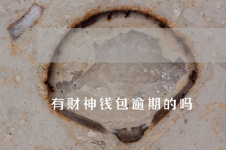 有财神钱包逾期的吗 有财神钱包逾期的吗