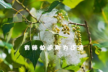 有账单逾期为还清 有账单逾期为还清