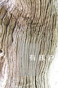有账户逾期征信上显示账户正常 有账户逾期征信上显示账户正常