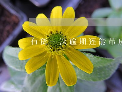 有货一次逾期还能带房贷吗 有货一次逾期还能带房贷吗