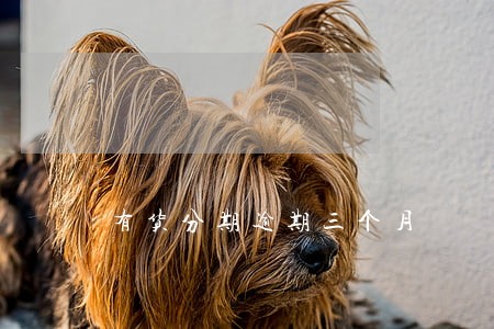 有货分期逾期三个月 有货分期逾期三个月