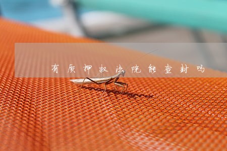 有质押权法院能查封吗 有质押权法院能查封吗