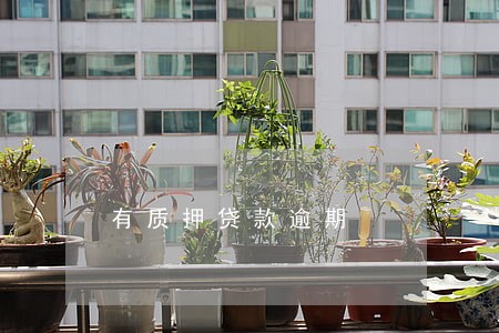 有质押贷款逾期 有质押贷款逾期