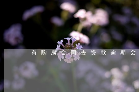 有购房合同去贷款逾期会如何 有购房合同去贷款逾期会如何