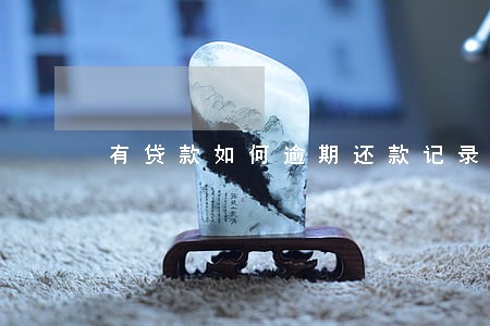 有贷款如何逾期还款记录 有贷款如何逾期还款记录