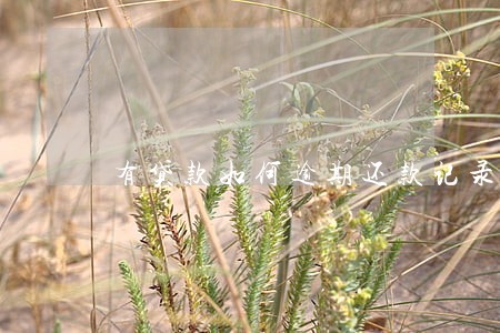 有贷款如何逾期还款记录吗 有贷款如何逾期还款记录吗