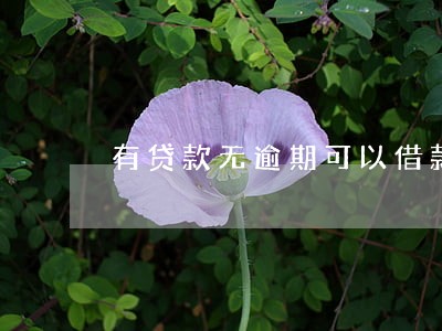 有贷款无逾期可以借款吗 有贷款无逾期可以借款吗