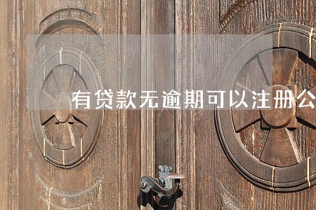 有贷款无逾期可以注册公司吗