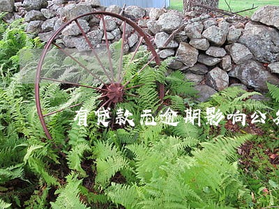 有贷款无逾期影响公务卡办理吗