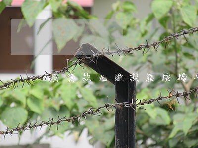 有贷款无逾期能按揭车吗 有贷款无逾期能按揭车吗