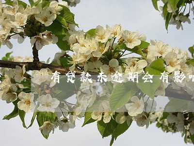 有贷款未逾期会有影响吗 有贷款未逾期会有影响吗
