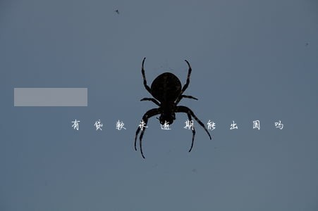 有贷款未逾期能出国吗 有贷款未逾期能出国吗