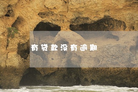 有贷款没有逾期 有贷款没有逾期