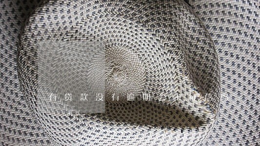 有贷款没有逾期会上征信吗 有贷款没有逾期会上征信吗