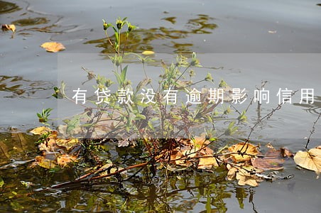 有贷款没有逾期影响信用吗 有贷款没有逾期影响信用吗