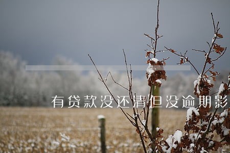 有贷款没还清但没逾期影响吗 有贷款没还清但没逾期影响吗