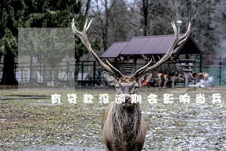 有贷款没逾期会影响当兵吗