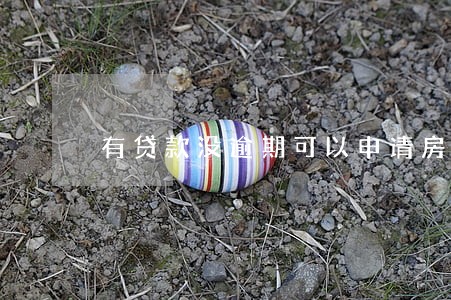 有贷款没逾期可以申请房贷 有贷款没逾期可以申请房贷