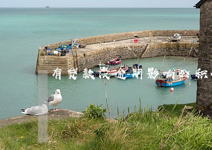 有贷款没逾期影响公积金贷款吗 有贷款没逾期影响公积金贷款吗