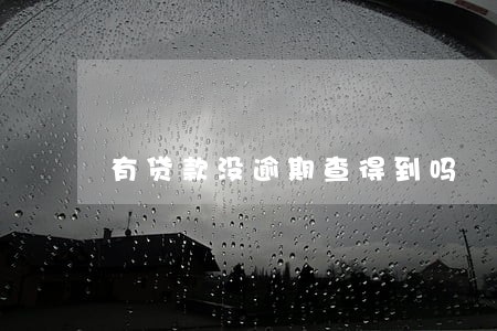 有贷款没逾期查得到吗 有贷款没逾期查得到吗