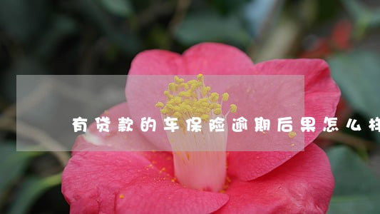 有贷款的车保险逾期后果怎么样 有贷款的车保险逾期后果怎么样