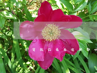 有贷款记录未逾期影响征信吗 有贷款记录未逾期影响征信吗