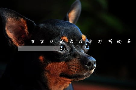 有贷款记录没逾期影响买房吗 有贷款记录没逾期影响买房吗