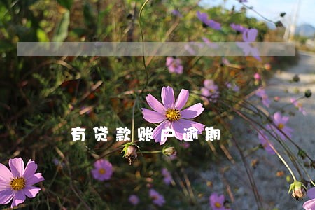 有贷款账户逾期 有贷款账户逾期
