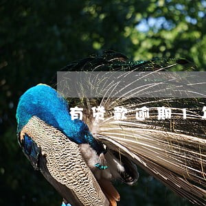 有贷款逾期1年以上案例 有贷款逾期1年以上案例