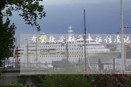 有贷款逾期一年征信没记录 有贷款逾期一年征信没记录