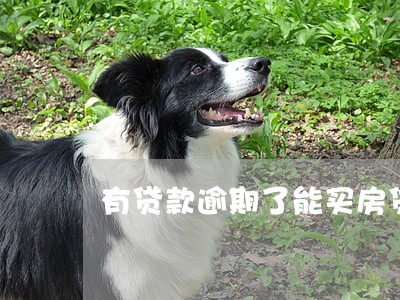有贷款逾期了能买房贷款吗 有贷款逾期了能买房贷款吗