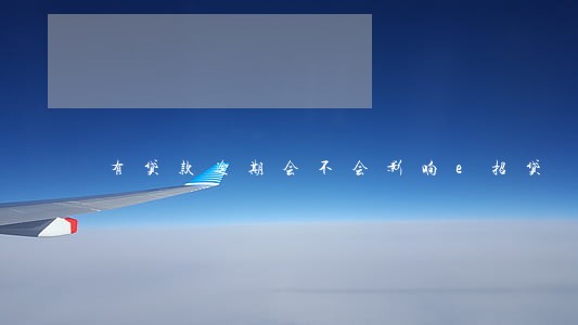 有贷款逾期会不会影响e招贷 有贷款逾期会不会影响e招贷