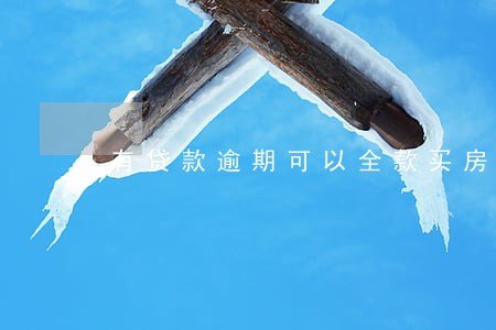 有贷款逾期可以全款买房 有贷款逾期可以全款买房