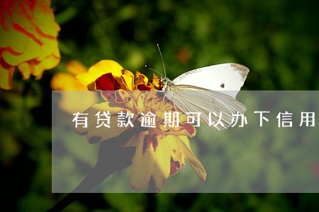 有贷款逾期可以办下信用卡吗 有贷款逾期可以办下信用卡吗