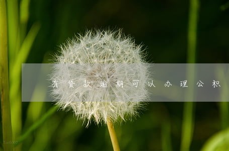 有贷款逾期可以办理公积金 有贷款逾期可以办理公积金
